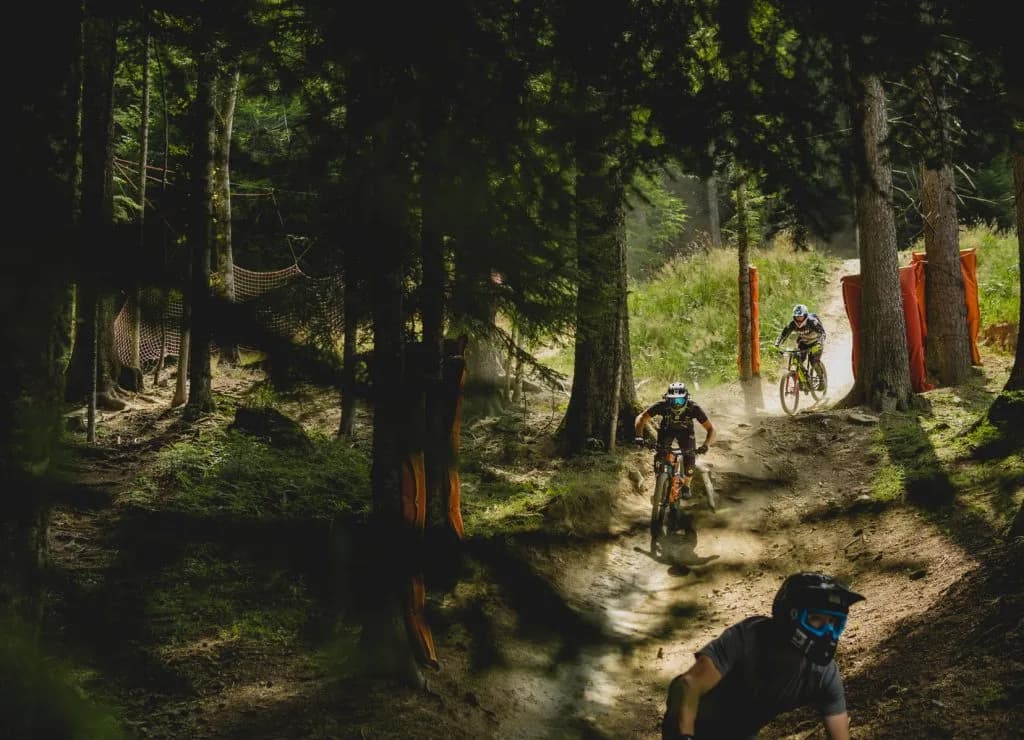 Mountain bikers riding down a dirt trail through a shady forest